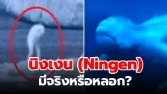 ปริศนาสิ่งมีชีวิตใต้สุดของโลก: นิงเงน (Ningen) จริงหรือหลอก?