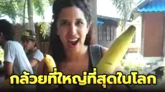 กล้วยที่ใหญ่ที่สุดในโลก หนักกว่า 4 กิโลกรัม!