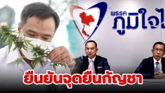 "ภูมิใจไทย" ยืนยันจุดยืน ออกกฏหมายใช้กัญชาทางการแพทย์ เรียกร้องทุกภาคส่วนทำตามนโยบายรัฐบาล
