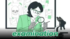 examination: การตรวจสอบ