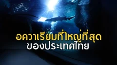 พิพิธภัณฑ์สัตว์น้ำ ที่มีขนาดใหญ่มากที่สุดในประเทศไทย