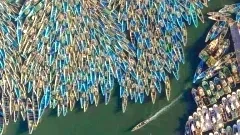 "ท่าเรือประมงเมืองนูอาดิโบ"มหัศจรรย์แห่งขนนกในทะเลมอริเตเนีย