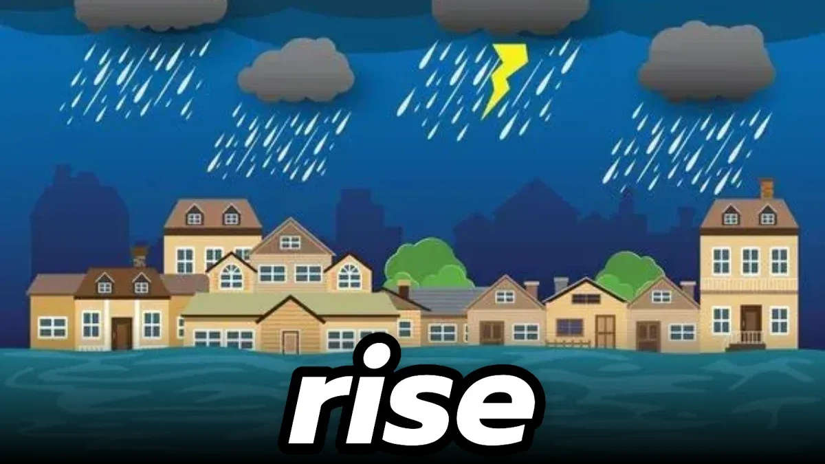 rise: ขึ้น