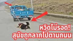 หวิดไม่รอด! หนุ่มใจบุญช่วยสุนัขถูกลากไปตามถนน