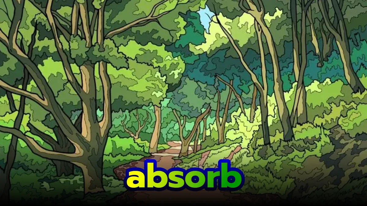 absorb: ดูดซับ