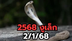 ปี 2568 ปีนักษัตรอะไร ตัวเลขที่เกี่ยวข้อง งวด 2 มกราคม 2568