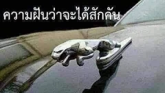 รวมภาพเรียกรอยยิ้มประจำวันนี้ วันที่เมื่อตอนดึกๆมีฝนตกหนักเลย เช้านี้ก็อากาศดีอยู่น๊า