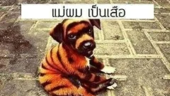 ขำกลิ้ง ฮาก๊าก ตลกโปกฮา ประจำวัน 20/05/68 จ้า🤣🔥