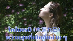 โคโมเรบิ (木漏れ日) ปรัชญาชีวิตแบบญี่ปุ่น ที่ความสุขที่เกิดขึ้นง่าย ๆ เหมือนแสงแดดที่ส่องลอดผ่านใบไม้