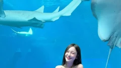 บิกินี่ตัวเดียวเอาอยู่! ไอดอลสาวปล่อยช็อตเด็ด หุ่นเป๊ะเกินต้าน