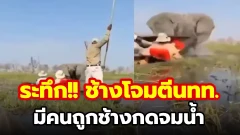 สุดระทึก!!! แม่ช้างตัวหนึ่งพุ่งเข้าโจมตีเรือนักท่องเที่ยวจนเรือพลิกคว่ำ และมีนักท่องเที่ยวถูกจับกดน้ำ