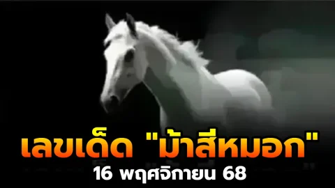 เลขเด็ด "ม้าสีหมอก" งวดวันที่ 16 พฤศจิกายน 68 วิ่งมาให้โชคแล้ว..รีบส่องเลย!