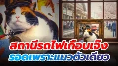 สถานีรถไฟเกือบเจ๊ง แต่รอดเพราะแมวตัวเดียว ตำนาน ทามะนายสถานีขนฟูแห่งญี่ปุ่น