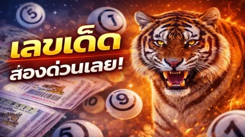 มาแล้ว! เลขเด็ด "เสือตกถังพลังเงินดี" งวดวันที่ 1 มีนาคม 69..ส่องด่วนเลย!!
