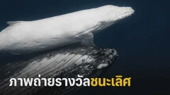 ภาพถ่ายรางวัลชนะเลิศ