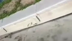 หนุ่มสาวจัดหนัก ซั่มกันต่อหน้าหลุมศพ