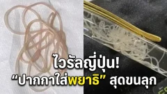 ไวรัลญี่ปุ่น! แชร์ว่อน &ldquo;ปากกาใส่พยาธิ&rdquo; สุดชวนขนลุก ชาวเน็ตถกสนั่น!