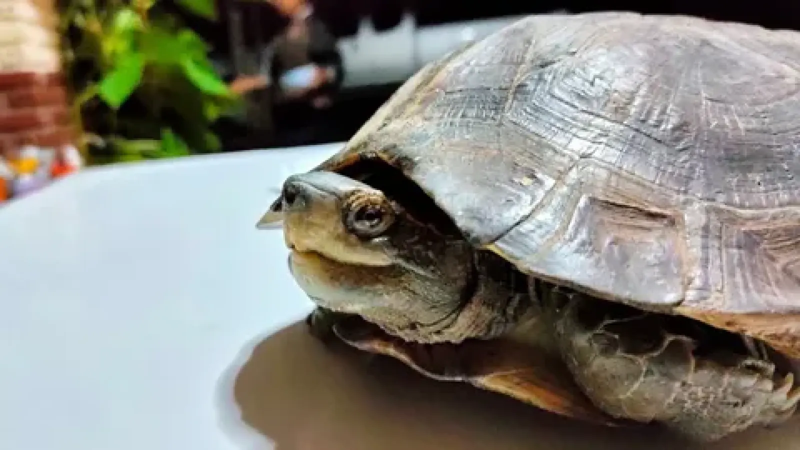 สัญญาณมหาเศรษฐี: 5 ลางสังหรณ์บอกเหตุรวย งวด 2 พฤษภาคม 2569