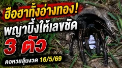 ฮือฮาทั้งอ่างทอง! พญาบึ้งให้เลขชัด 3 ตัว คอหวยลุ้นงวด 16/5/69