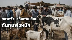 สงครามอิหร่านดันต้นทุน ตลาดสัตว์ปากีสถานก่อนอีดิ้ลอัฎฮาซบเซา