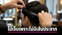 ทำไมตัดผมกับตัดเล็บถึงไม่เจ็บ คำตอบอยู่ที่เคราตินและเส้นประสาท