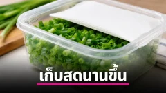 เก็บต้นหอมซอยให้สดนานขึ้น เคล็ดลับพลิกกล่องที่ช่วยลดความแฉะ