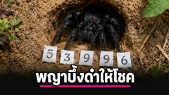 เลขเด็ด "พญาบึ้งดำ"วันที่ 16 มิถุนายน 2569