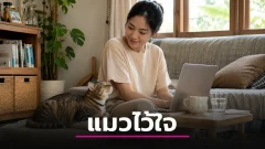 แมวไม่ได้เย็นชาเสมอไป งานวิจัยชี้ว่ามันผูกพันกับคนในแบบที่เราอาจมองข้าม