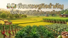 10 พืชเศรษฐกิจสำคัญ ที่สร้างรายได้ให้ประเทศไทย