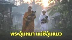 ตำนานพระอุ้มหมา แม่ชีอุ้มแมว ข่าวลือยุค 90 ที่เด็กไทยเคยกลัว