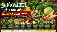 ผักมีประโยชน์ แต่บางชนิดกินผิดวิธีอาจเสี่ยงกว่าที่คิด