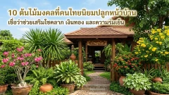 10 ต้นไม้มงคลหน้าบ้าน คนไทยนิยมปลูก เสริมร่มเงาและความสบายใจ