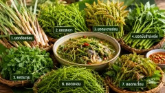 7 ยอดพืชพื้นบ้านที่หลายคนไม่รู้ว่ากินได้ บางชนิดต้องปรุงให้สุกก่อน