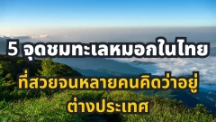 5 จุดชมทะเลหมอกในไทย ที่สวยจนหลายคนคิดว่าอยู่ต่างประเทศ