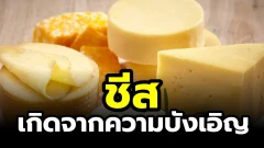 ประวัติศาสตร์ของ "ชีส" ความบังเอิญแสนอร่อย