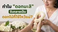 ทำไมวันแม่ต้องเป็น &ldquo;ดอกมะลิ&rdquo; ความหมายที่อยู่เบื้องหลังดอกไม้สีขาว