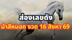 ส่องเลขดัง ม้าสีหมอก งวด 16 ส.ค. 69