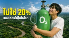 แอมะซอนไม่ได้ผลิตออกซิเจนให้โลก 20% แต่ความสำคัญที่แท้จริงยิ่งน่ารู้