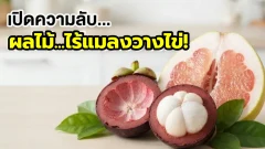 ผลไม้ที่ 'ปลอดภัยจากแมลง' ไม่โดนเจาะวางไข่จนมีหนอน