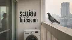 สงครามชิงระเบียง: ทำไมนกพิราบบุกคอนโด และไล่อย่างสันติ