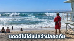 แดดดีไม่ได้แปลว่าทะเลปลอดภัย
