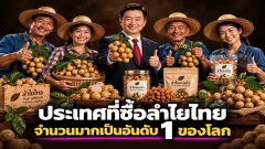 ประเทศไหนซื้อลำไยไทยมากที่สุด อันดับ 1 ตัวเลขส่งออกชัดเจน