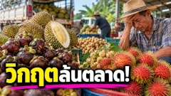 วิกฤตล้นตลาด! 5 ผลไม้ไทยที่เคยมหาโหด... แต่ตอนนี้ราคาดิ่งจนน่าตกใจ