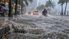 พัทยาถูกเตือน &ldquo;Rain Bomb&rdquo; 40 มม./ชม. คำนี้ไม่ได้แปลว่ามีพายุลูกใหม่ แล้วฝนระดับนี้หนักแค่ไหน?