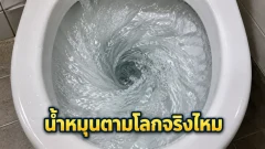 ชักโครกหมุนตามซีกโลกจริงหรือไม่