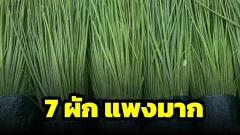 ผัก 7 ชนิดที่คนไทยชอบกิน ราคาแพงหูฉี่ช่วงน้ำท่วม บางชนิดแพงกว่าเนื้อสัตว์หลายเท่าตัว