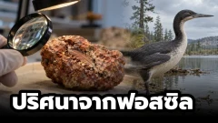 ขนนกในมูลไดโนเสาร์ อธิบายการเอาชีวิตรอดของนก