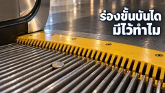 ร่องบนขั้นบันไดเลื่อนทำงานร่วมกับแผ่นหวีปลายทางอย่างไร