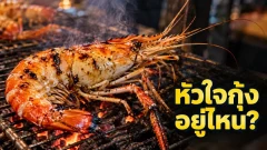 หัวใจของกุ้งอยู่ตรงไหนในลำตัว