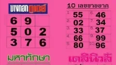 แม่จำเนียรใบชมพู งวดนี้มีอะไรให้จับตา? เปิดชุดเลขขายยาก พร้อมเทียบ 3 ตารางสำนักดัง